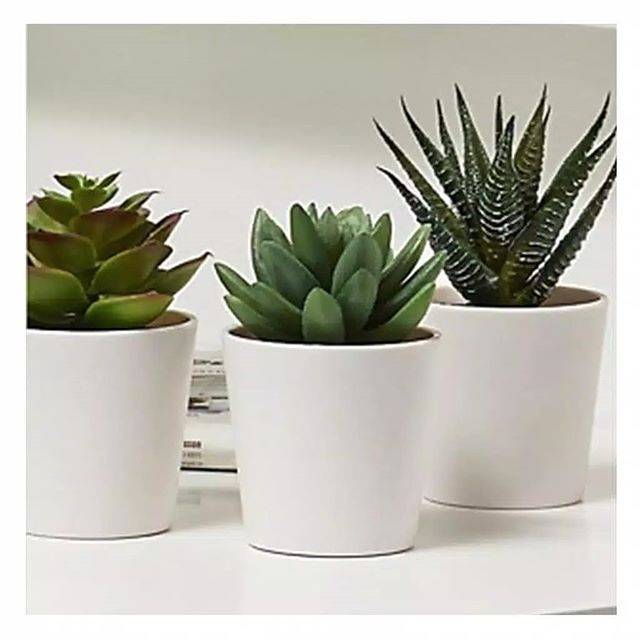  Ikea  fejka kaktus artifisial kaktus palsu  tanaman  