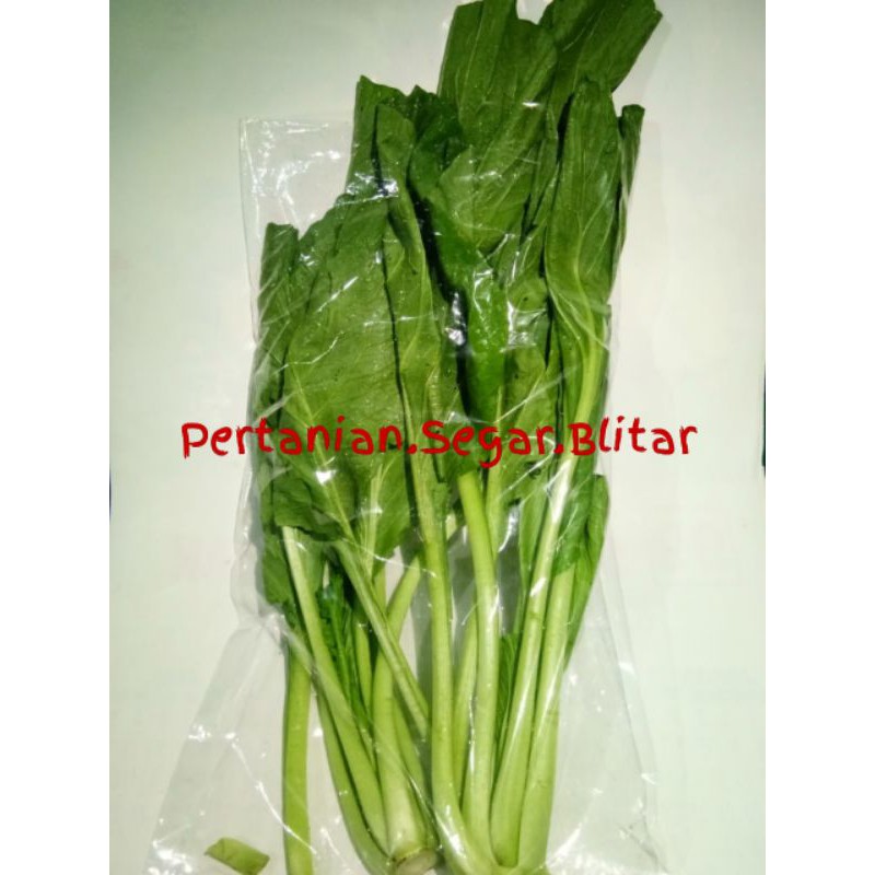 

[Pertanian Blitar] Sawi Hijau Muda Fresh Seal Packing Vakum Sayur Sayuran Higienis