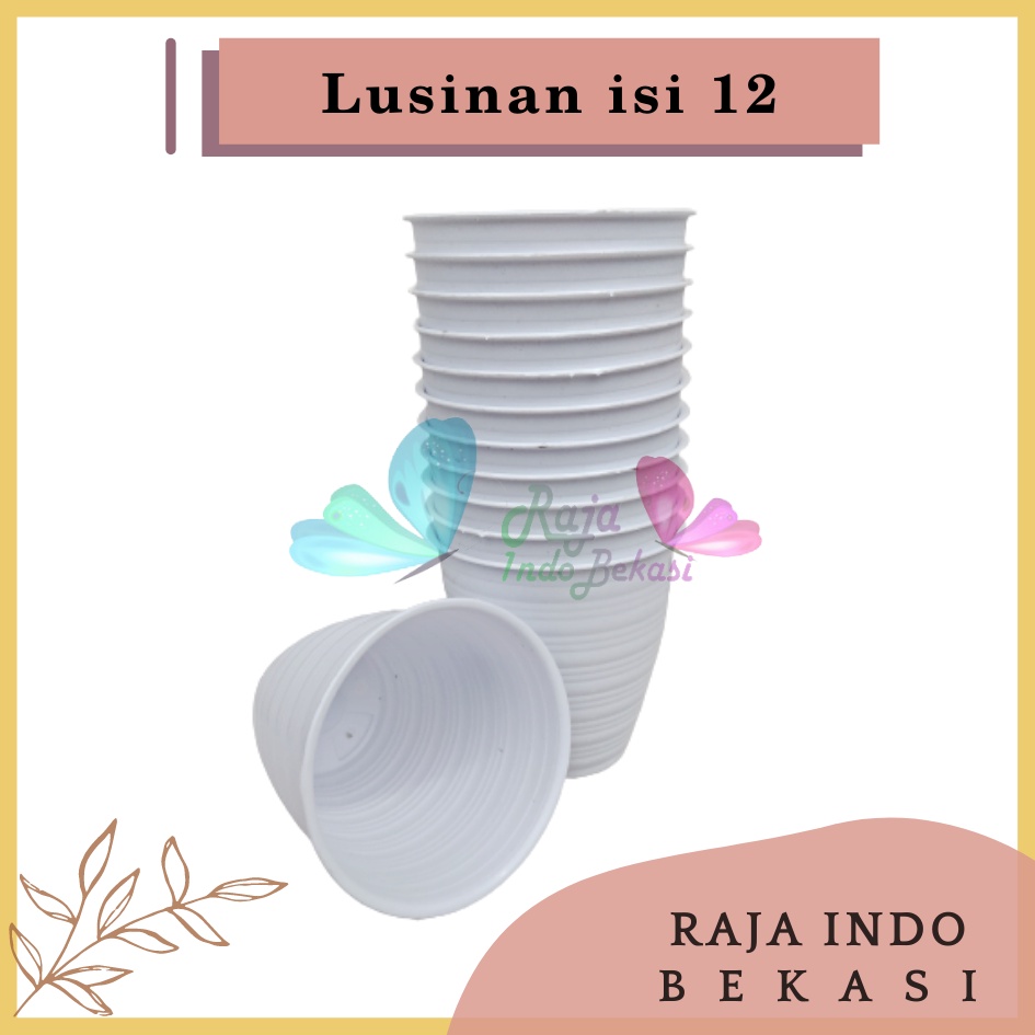 LUSINAN Pot Tawon Pirus 10 Putih Pot Tawon Tirus 10 Cm Grosir Pot Tinggi Putih Tanaman Lidah Mertua