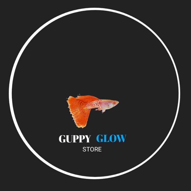 Guppy Albino Metal Snake Skin Red Tail (AMSSRT)