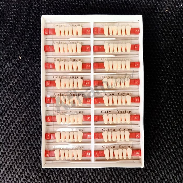 DENTAL 1 BOX GIGI PALSU DEPAN BAWAH / ANTERIOR LOWER