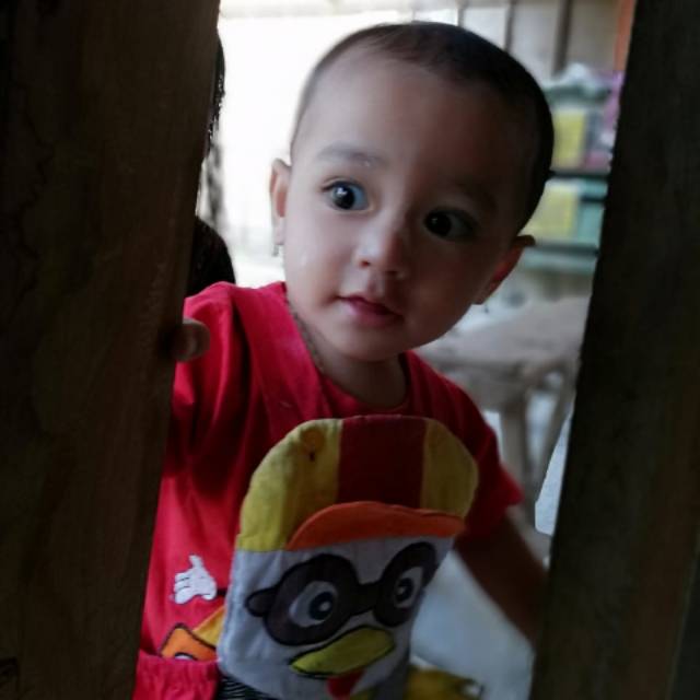 rezfan_