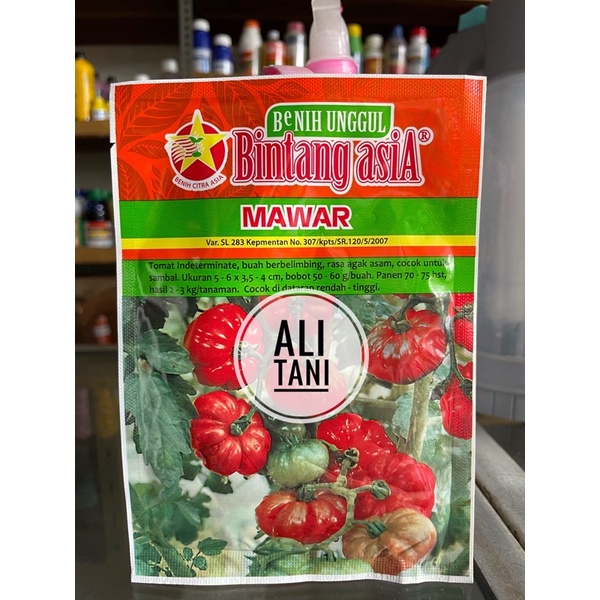 Jual Benih Bibit Tomat Mawar 10 Gr Bintang Asia Shopee Indonesia