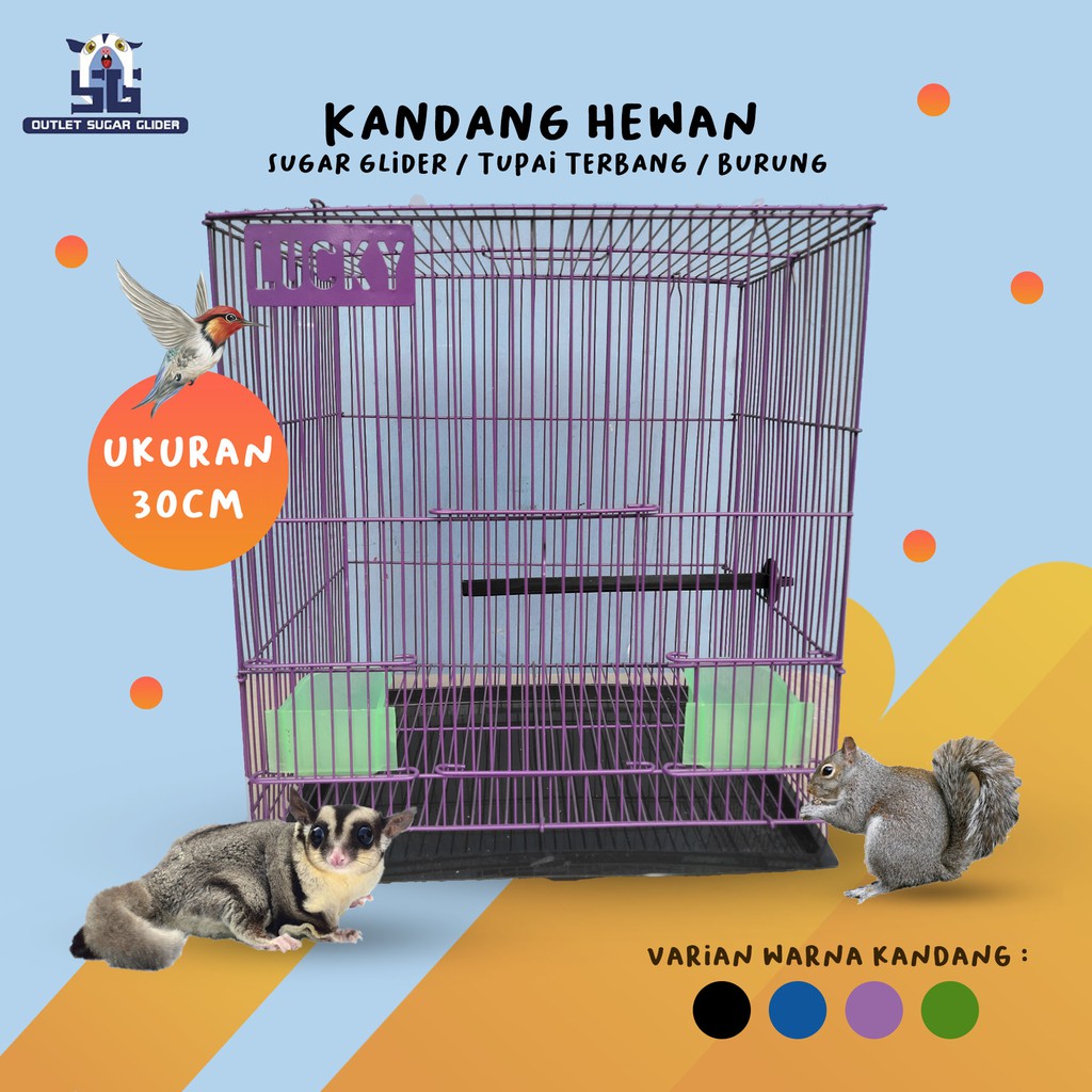 KANDANG HEWAN SUGAR GLIDER 30CM