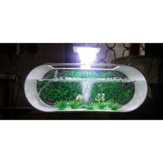 AQUARIUM MINI PVC UNIK LENGKAP LAMPU DAN AERATOR OXYGEN ...