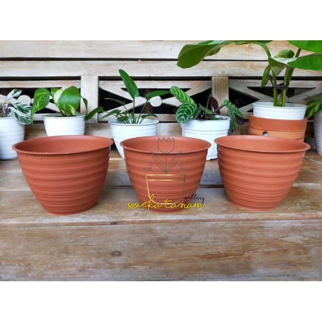 Pot Madu 17 / Pot 17 Madu Coklat /