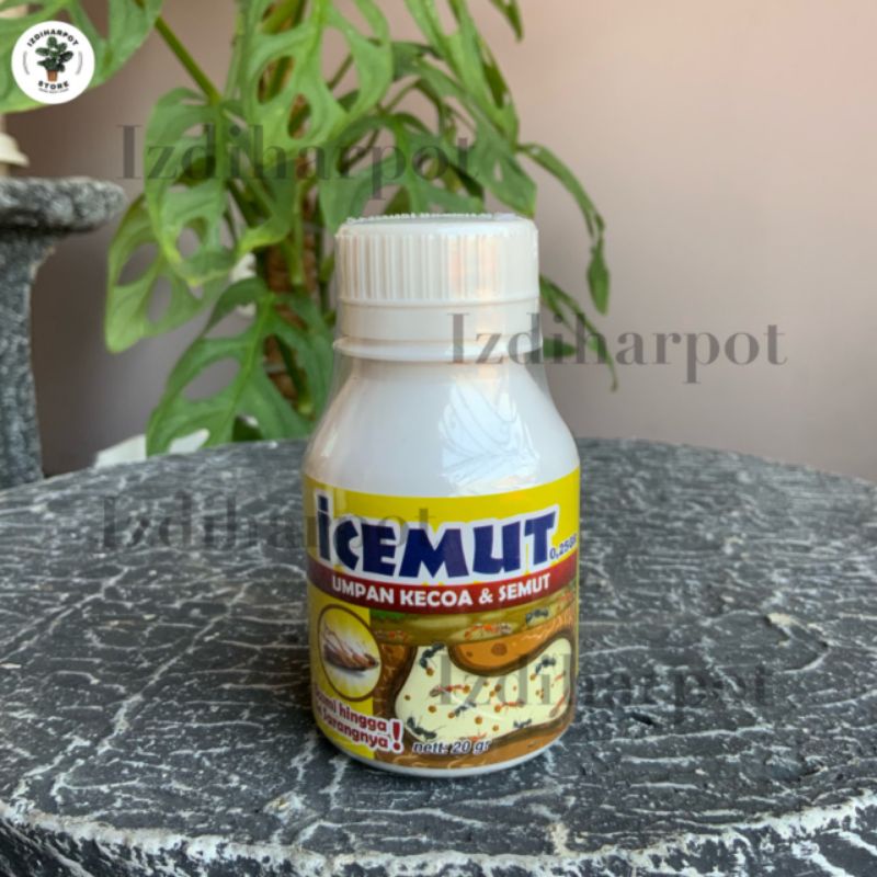 ICEMUT 0.25 GR 20 GRAM UMPAN KECOA SEMUT INSEKTISIDA - ICEMUT 0.25 GR