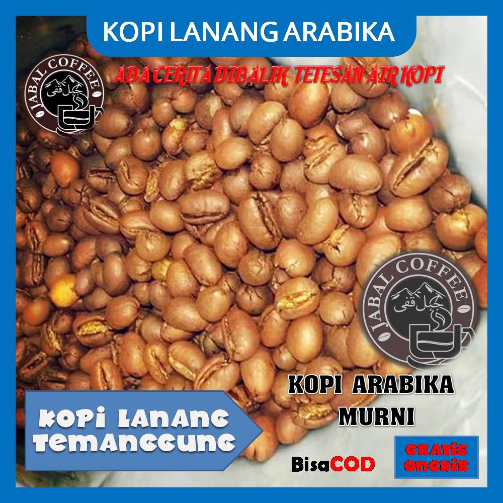 Kopi Lanang Arabika Temanggung (Kopi Temanggung)