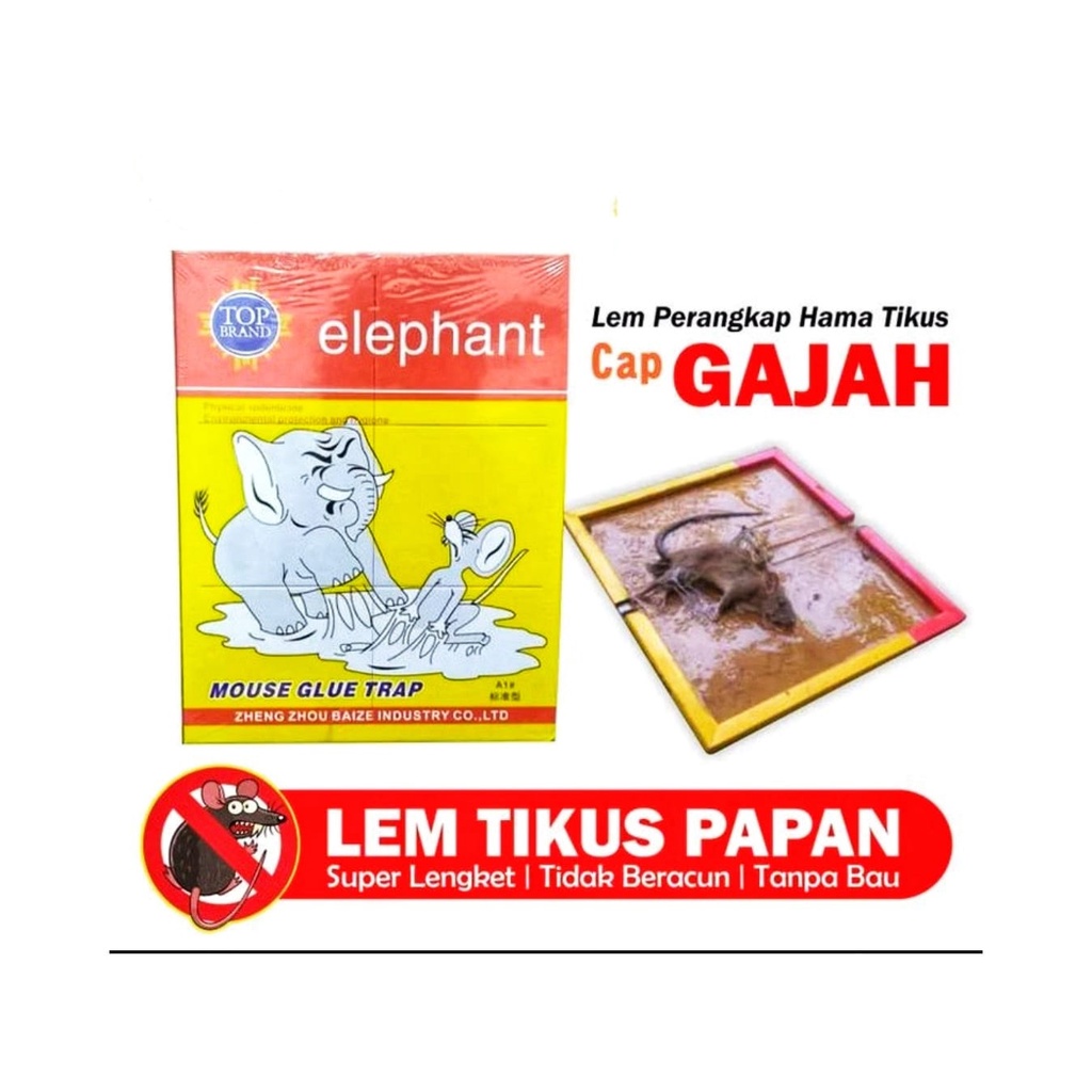 Lem Papan Elephant Lem Papan Cap Gajah Lem Tikus