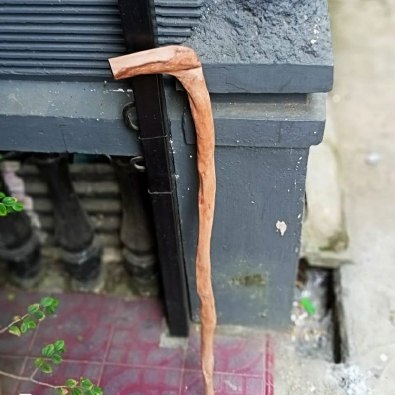 tongkat jalan setigi natural