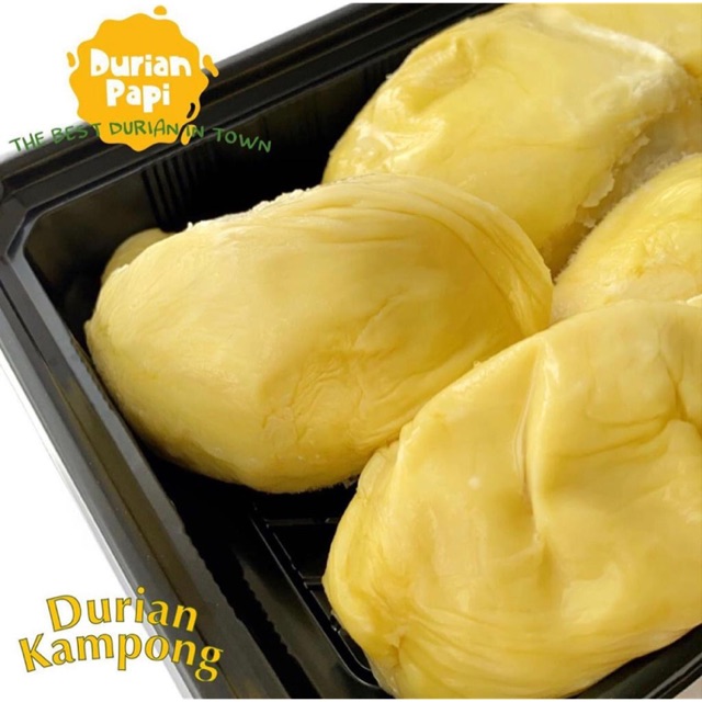 

DURIAN KAMPONG DURIAN PAPI