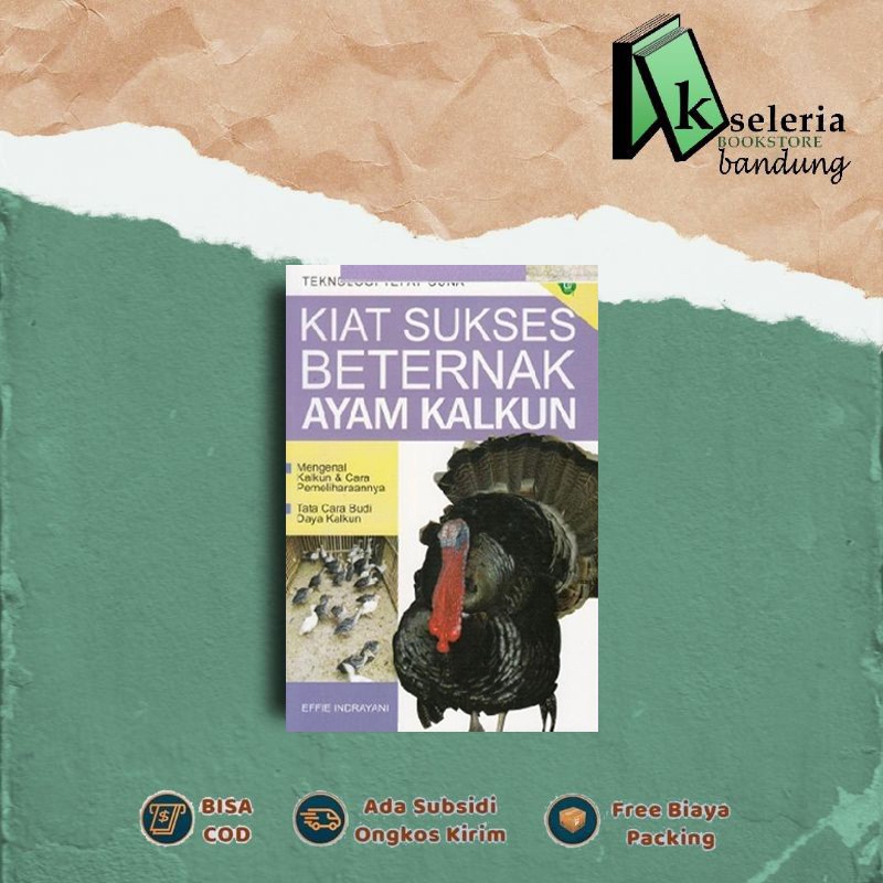 KIAT SUKSES BETERNAK AYAM KALKUN