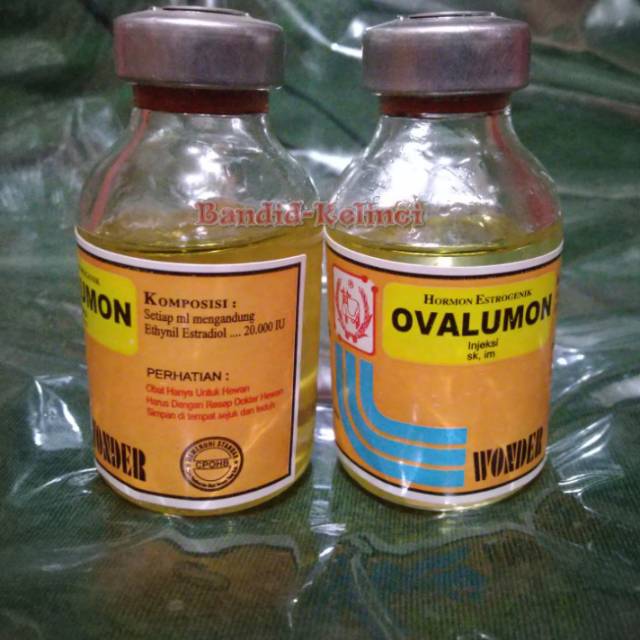 OVALUMON 20 ml - HORMON PEMACU BIRAHI HEWAN BETINA