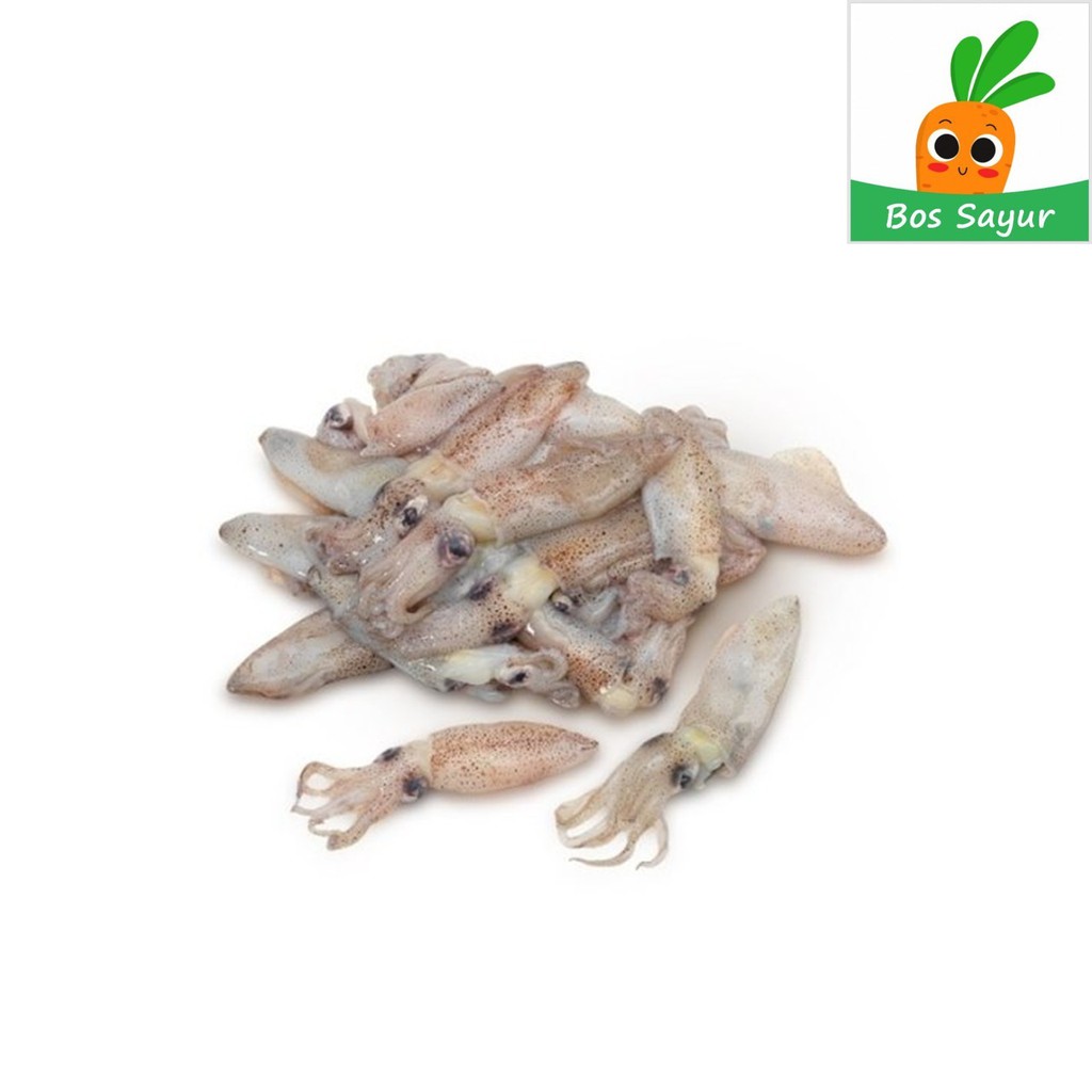 

Baby Cumi Beku 500 gr - Bos Sayur