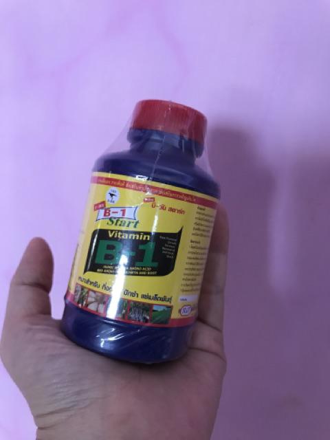 T-rex Vitamin B1 Thailand 100ml