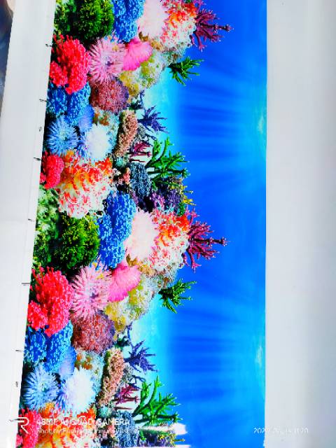 Gambar background hiasan dinding Aquarium tinggi 40cm panjang 1 meter