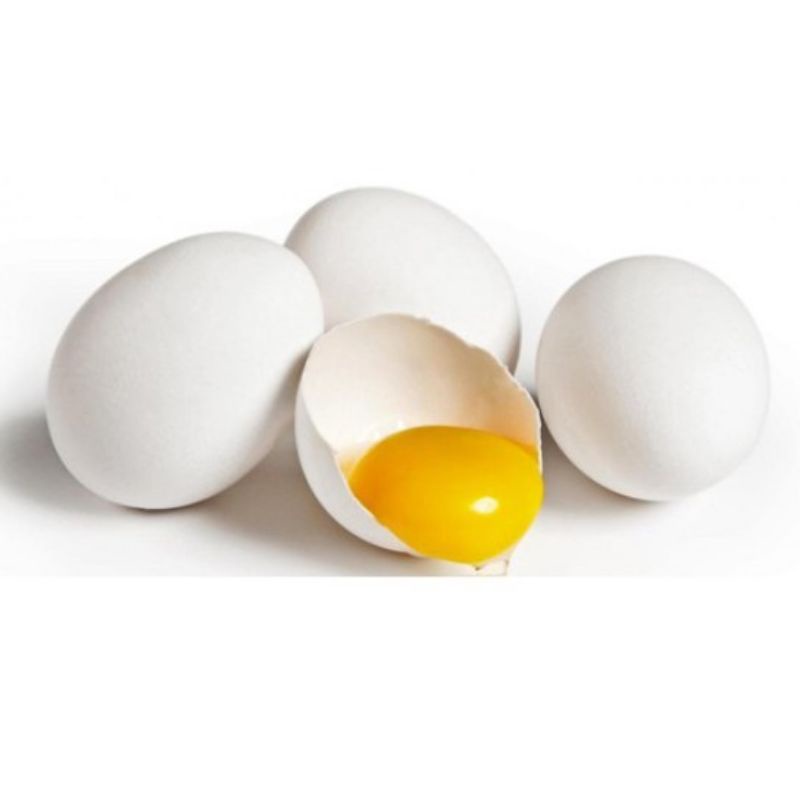 

TELUR AYAM KAMPUNG PER BUTIR