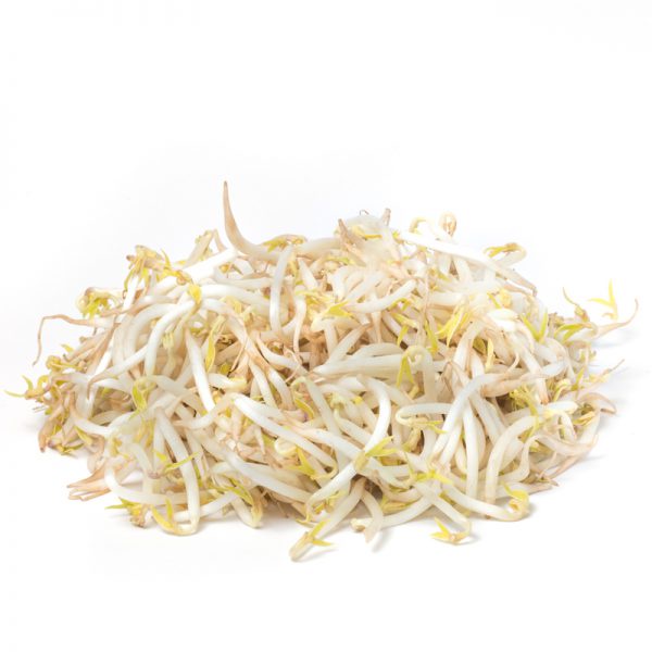 

PASAR SEGAR - TOGE 250GR / TAUGE