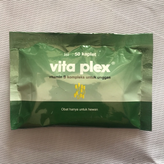 Vita plex ayam/Vitamin B Kompleks Unggas