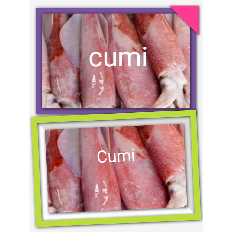 

Cumi -cumi 500 Gram/1 KG
