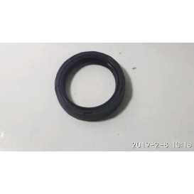 SEAL KIT FORK MTB ION