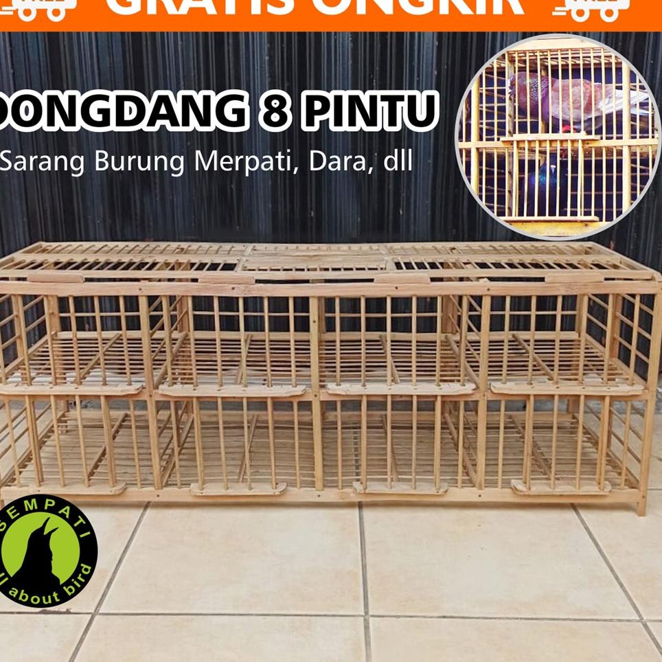 Harga Dondang Merpati Terbaru November 2021 BigGo Indonesia