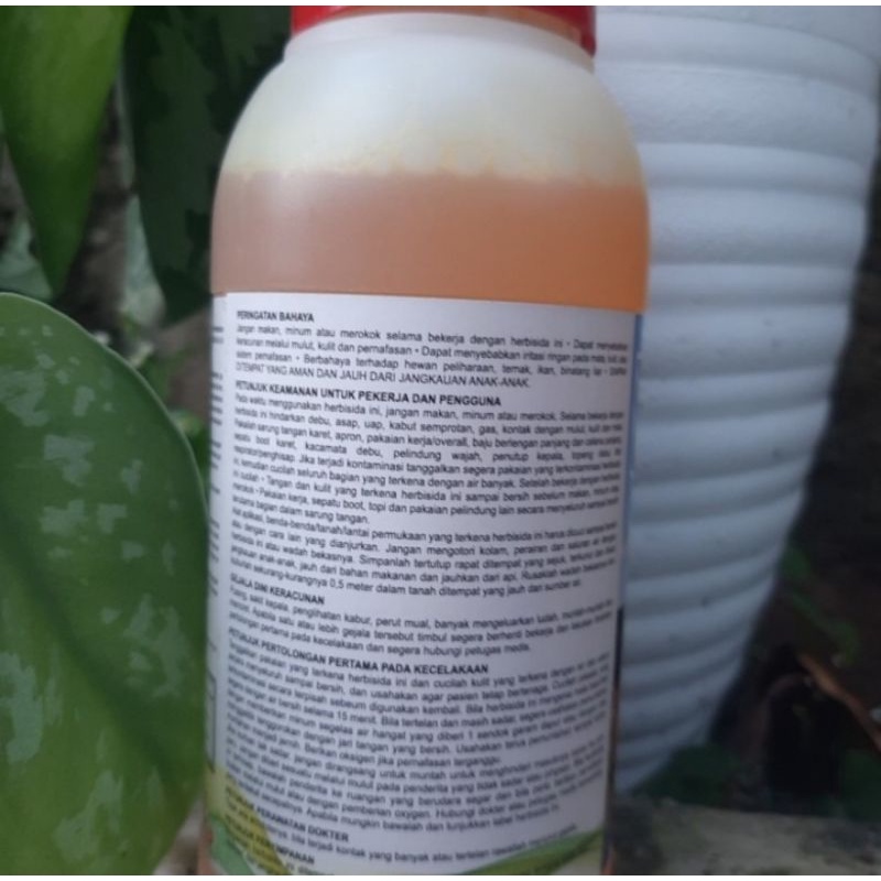 V Rent Up 250ml Herbisida 480 SL Pembasmi Rumput Liar