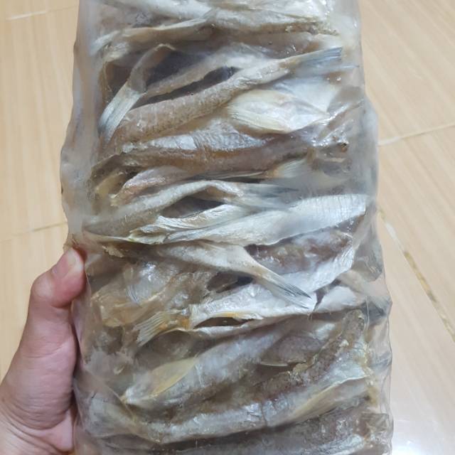 

Ikan Asin homemade, bersih dan higienis, asinnya pas