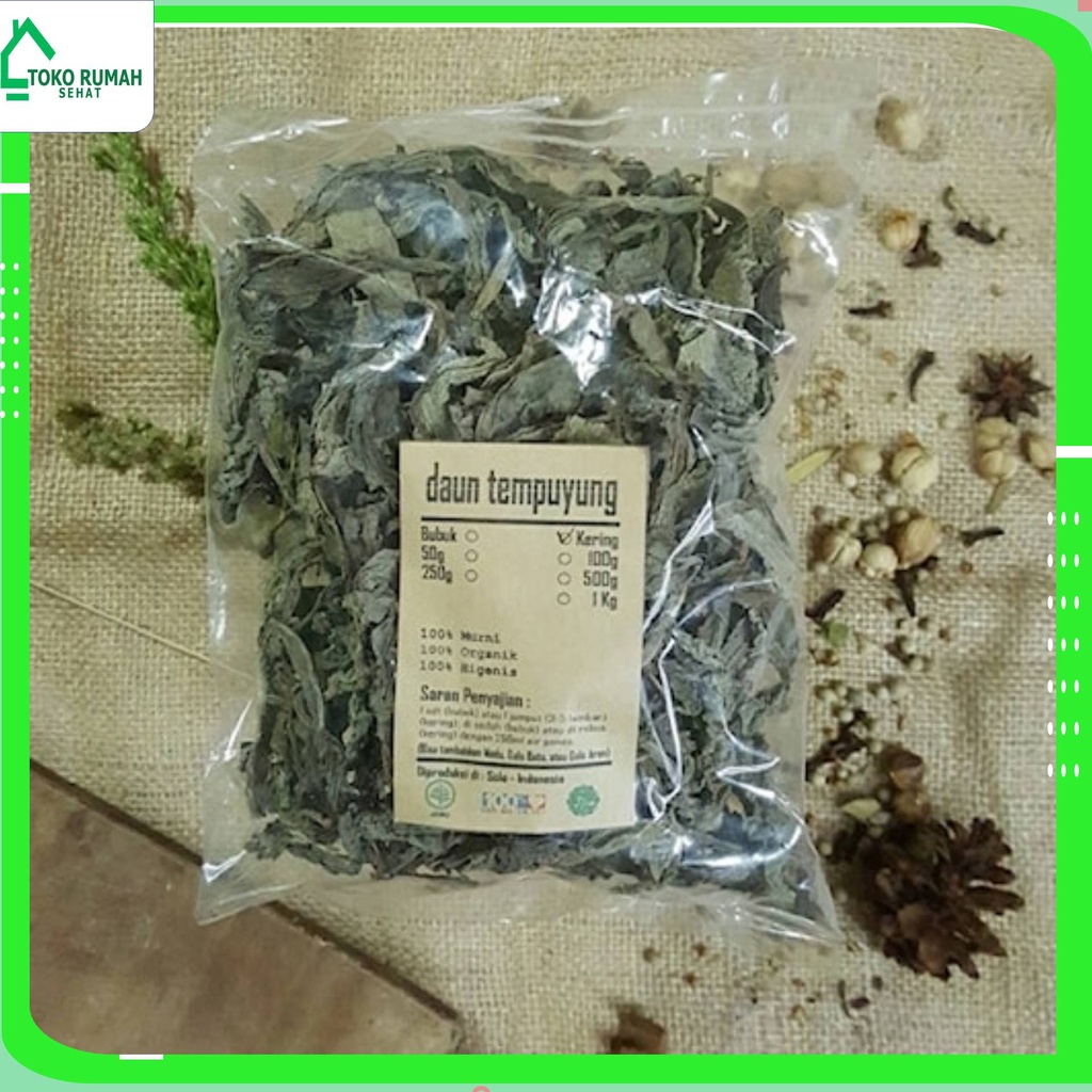 

DAUN TEMPUYUNG KERING 1 KG - Sonchus Arvensis - MURNI - JSR - RE