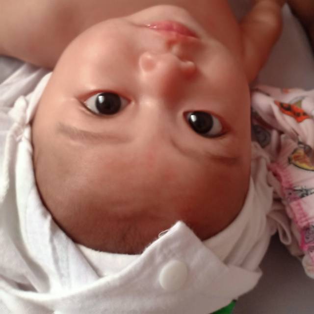 elly.sanawi