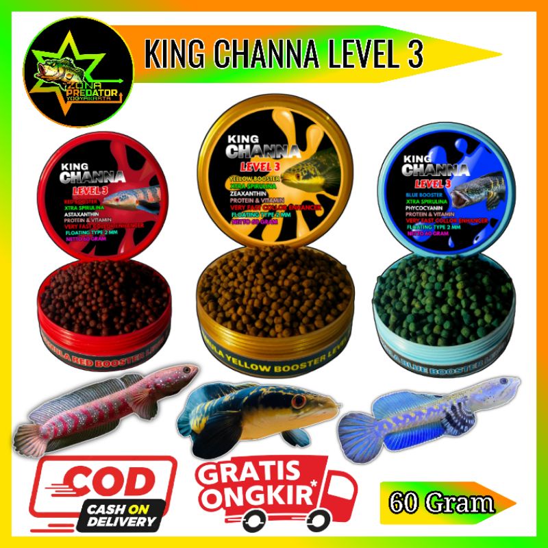 KING CHANNA LEVEL 3 PELET CHANNA DOSIS TINGGI