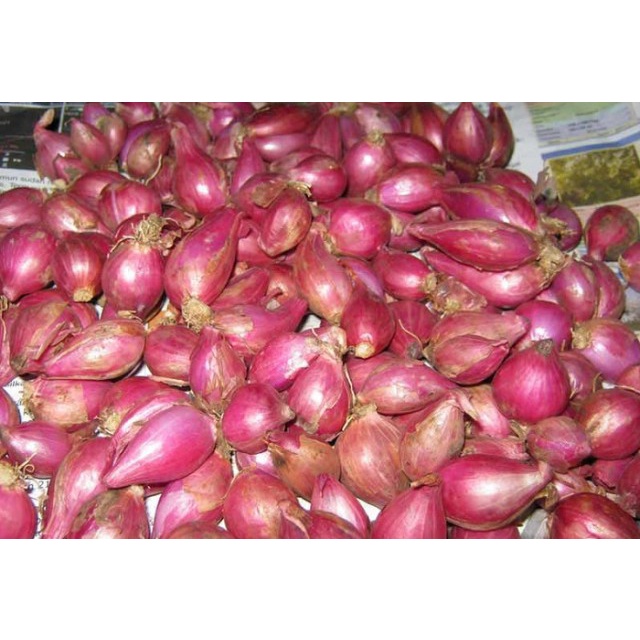 

BAWANG MERAH KECIL/SEDANG