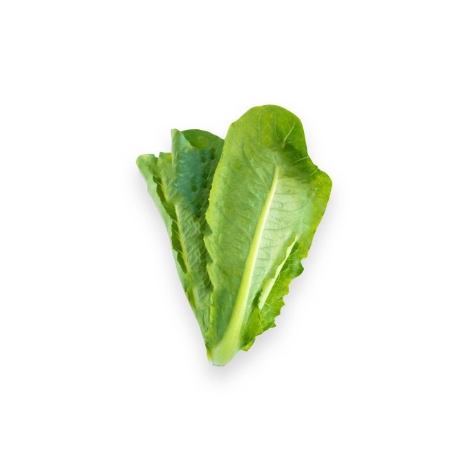 Selada Romaine / Romaine Lettuce Organik 200gr