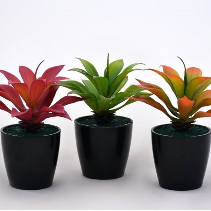 Naindo Sukulen mini artifisial hiasan ruang tamu dan 