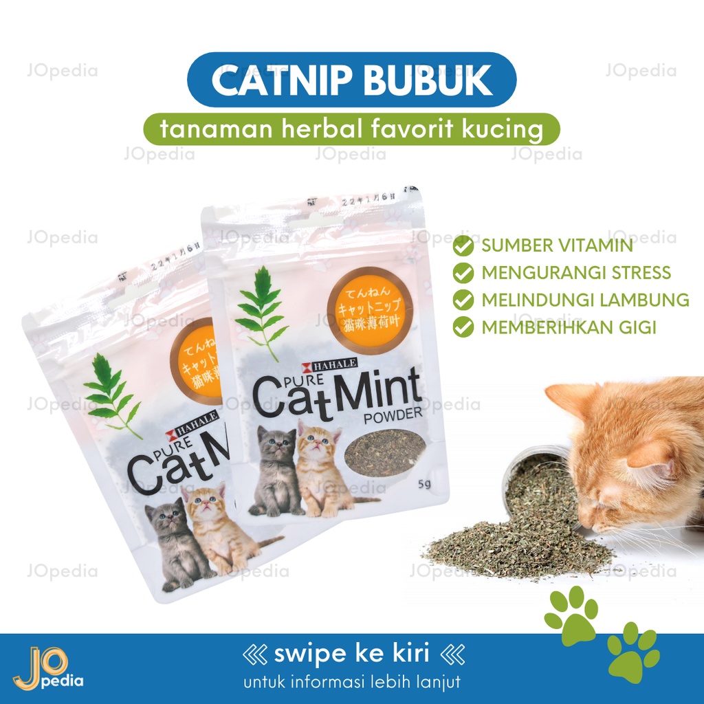 CATNIP BUBUK SACHET Snack Kucing Makanan Serbuk Daun Cat Mint Powder