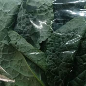 

Sayur Hidroponik Organik Kale. 200 gram, 2 Pax