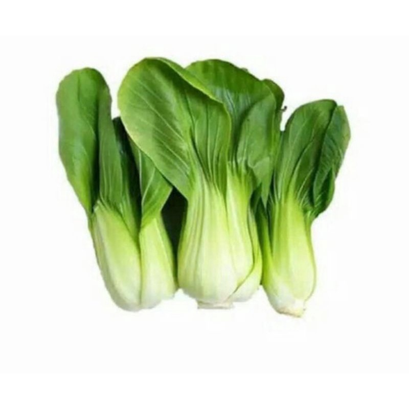 

SAYUR PAKCOY 1 IKAT