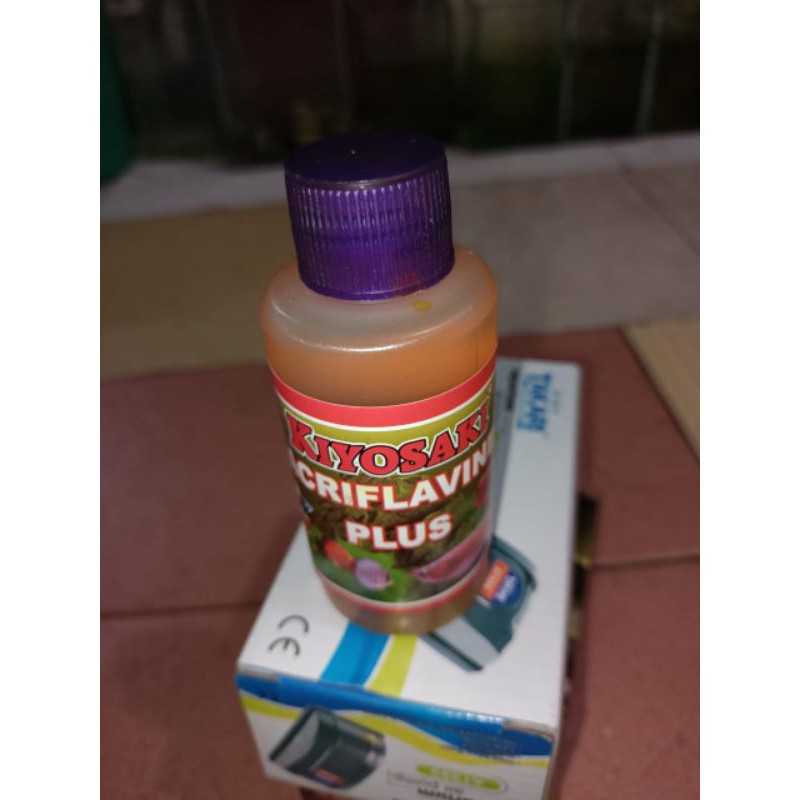 ACRIFLAVINE PLUS OBAT KUNING