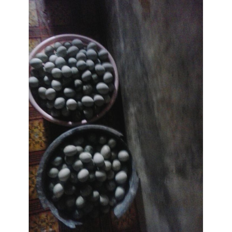 

telur asin