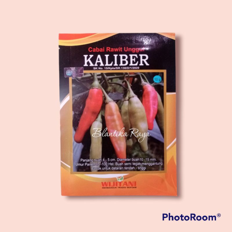 BENIH CABAI KALIBER ORIGINAL