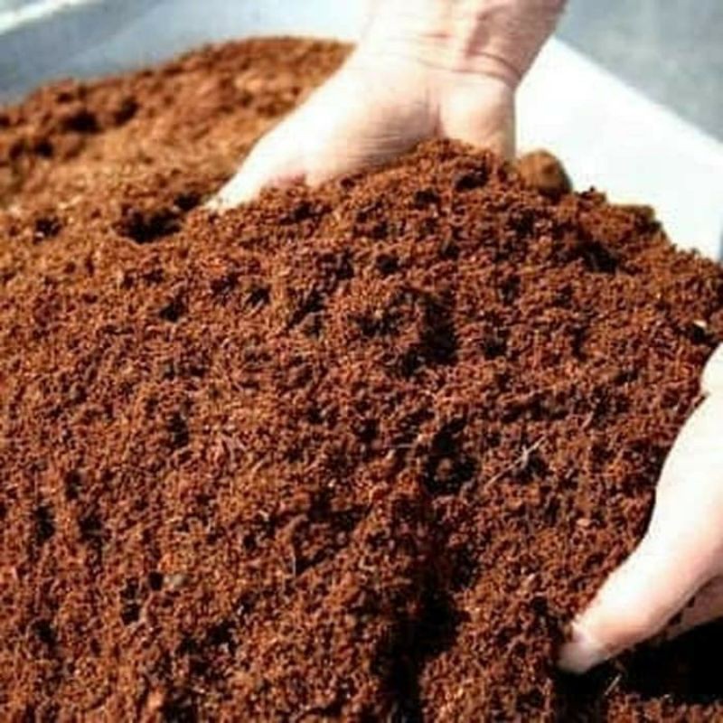 cocopeat 1kg coco peat