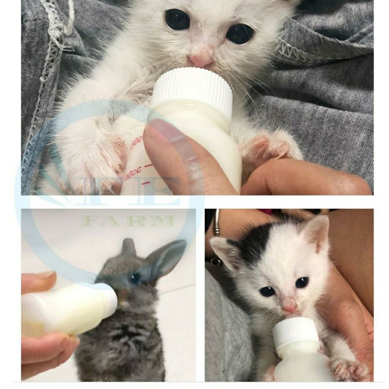 Botol Dot Kucing / Botol Susu Kucing Botol Susu Anjing 50ML Kitten Dot PREMIUM QUALTY