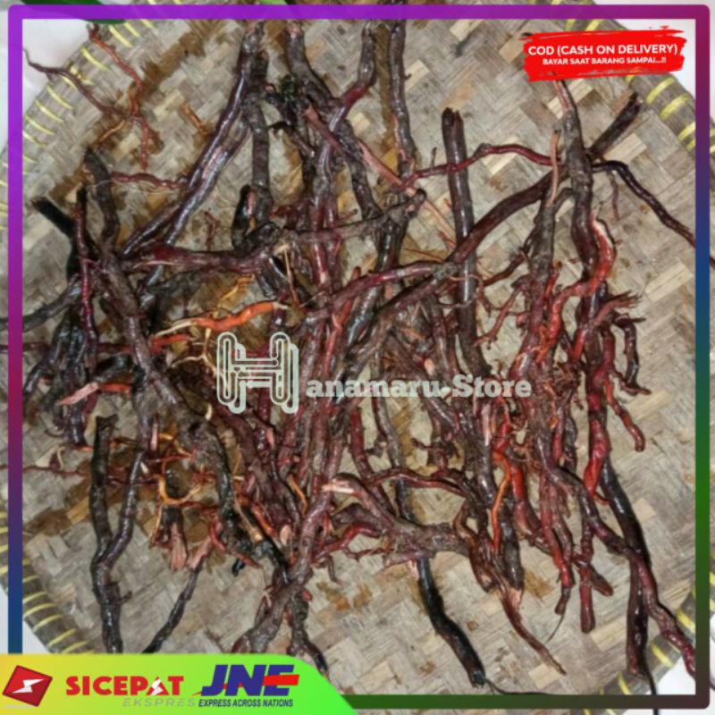 

Akar kelapa Herbal akar pohon kelapa ( 250gr )