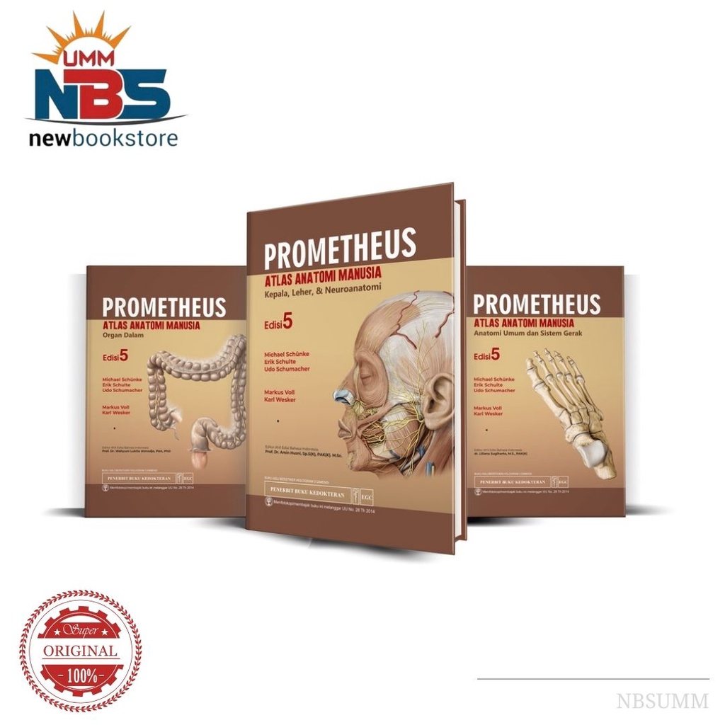 Prometheus Atlas Anatomi Manusia : Kepala, Leher & Neuroanatomi Edisi 5 - Michael Schunke, E. Sculte