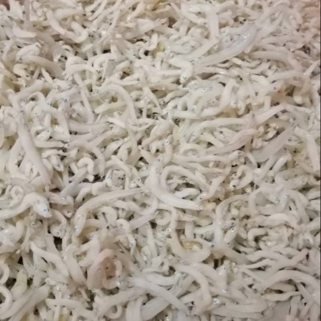 

Ikan Teri Medan