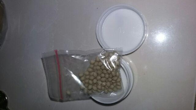 100pills Repack, Benih Selada Rex Rz Butterhead Lettuce, Rijk Zwaan