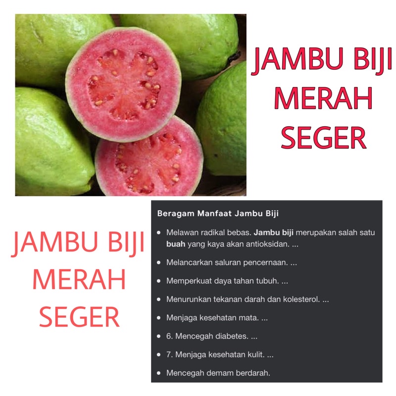 

JAMBU BIJI MERAH SEGER
