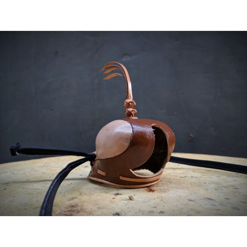 Hood Elang WBSE/ Elang Laut Dada Putih