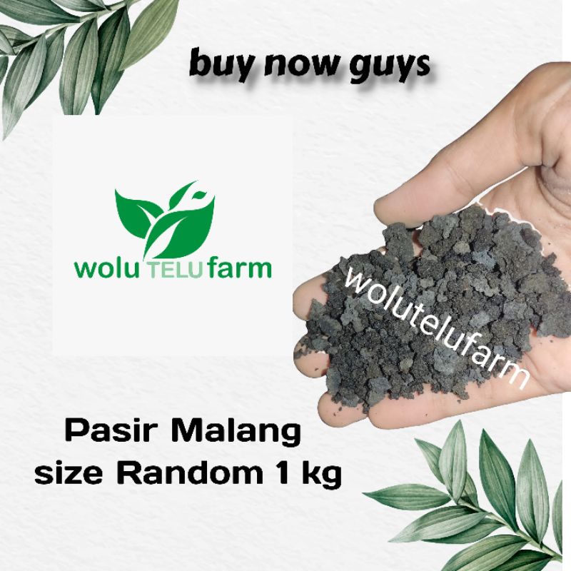 pasir malang size random /campur kecil+besar repack 1 kg