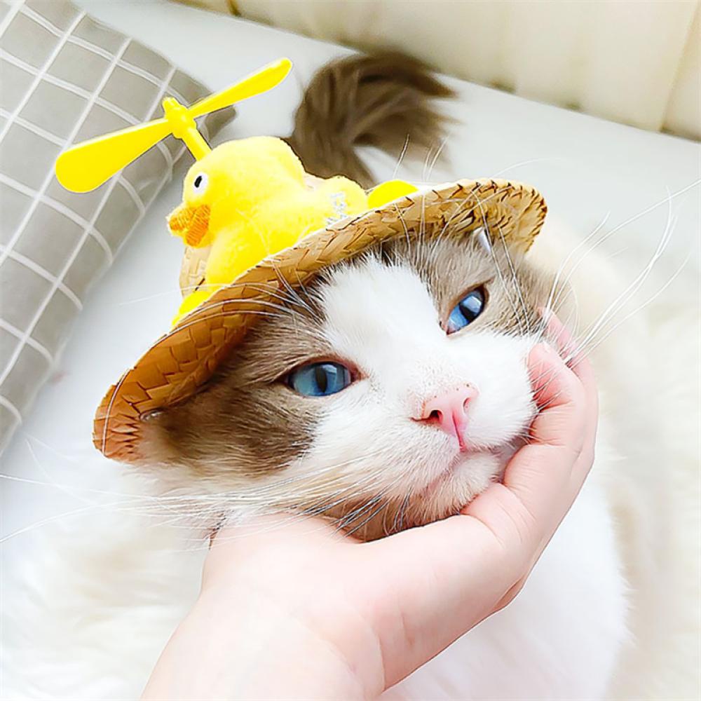 Timekey Topi Jerami Mini Aksen Capung Bambu Untuk Properti Foto Anjingkucing B7C8